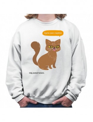 bluza B-B KT108 z kotem kotkiem kotełem