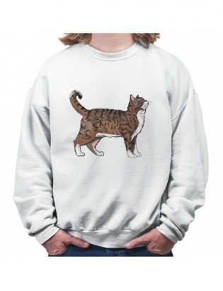 bluza B-B KT11 z kotem kotkiem kotełem