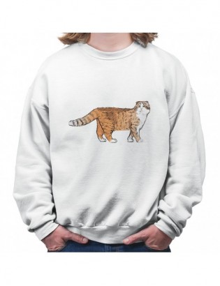 bluza B-B KT144 z kotem kotkiem kotełem