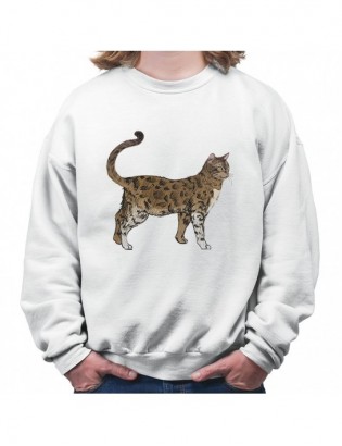 bluza B-B KT19 z kotem kotkiem kotełem