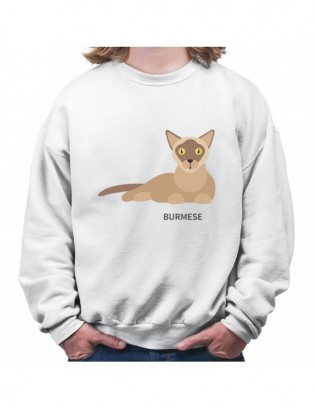 bluza B-B KT33 z kotem kotkiem kotełem