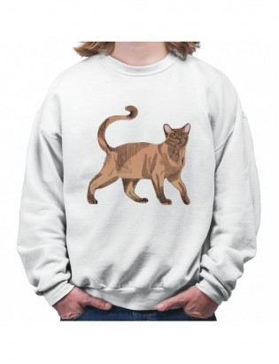 bluza B-B KT37 z kotem kotkiem kotełem