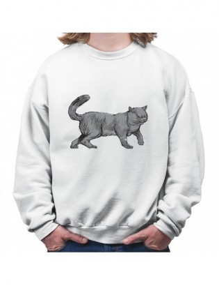 bluza B-B KT40 z kotem kotkiem kotełem