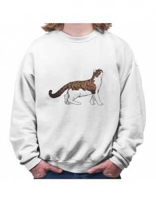 bluza B-B KT7 z kotem kotkiem kotełem