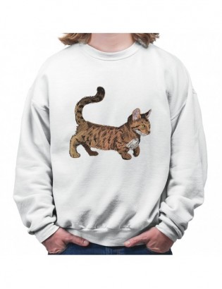 bluza B-B KT92 z kotem kotkiem kotełem