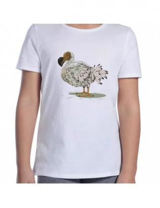 koszulka D-B ZW3 dodo...