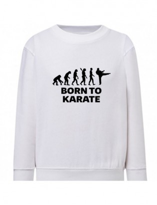 bluza BD-B KR1 karate kid...