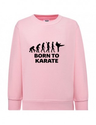 bluza BD-R KR1 karate kid kai cobra