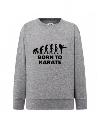 bluza BD-SZ KR1 karate kid...