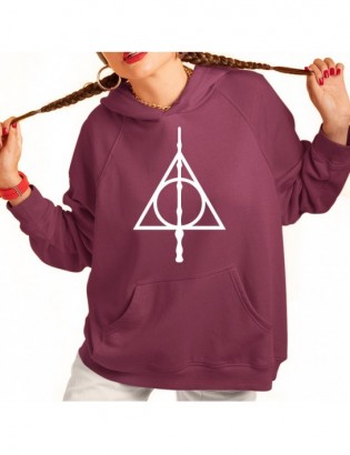 bluza z kapturem KK-BU hp3 Harry Potter Hogwart