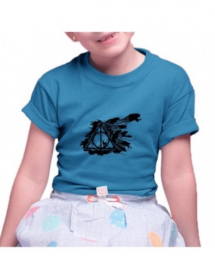 koszulka D-N hp2 Harry Potter Hogwart
